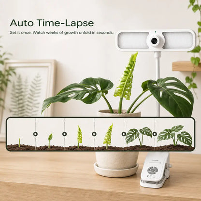 AI Plant Time-Lapse Camera-FernSnap