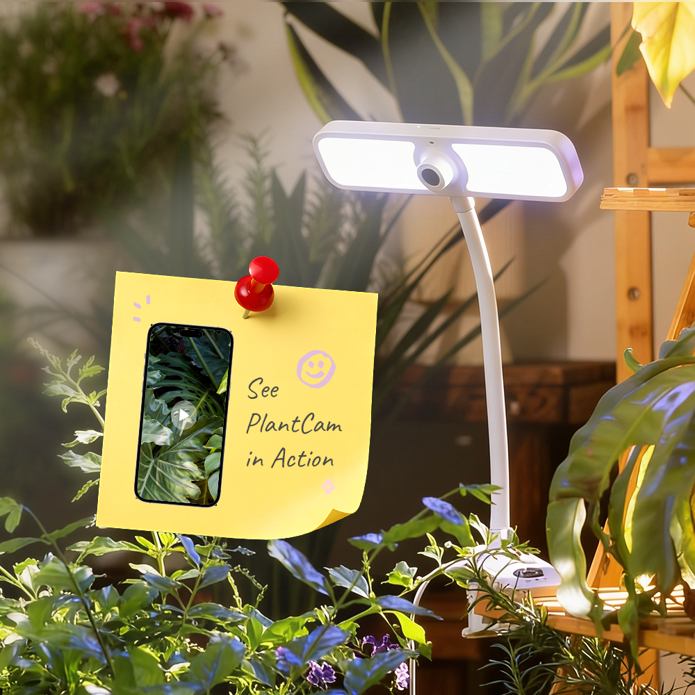 Fernsnap-Mobile Banner